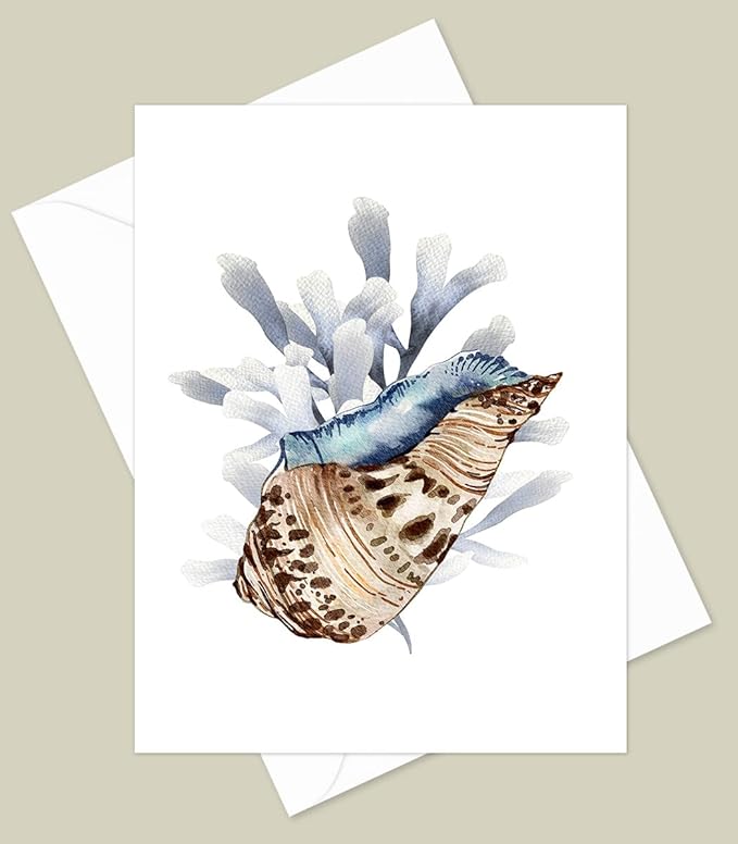 Sea Shell Greeting Cards - Set of 10 All Occasion 5 x 7 Note Cards with Envelopes. Blank Inside. Watercolor Designs of Seashells, Starfish and Coral