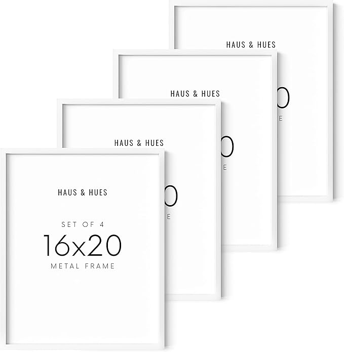 HAUS AND HUES 16x20 White Aluminum Frame Set of 4 - Gallery Wall Display, Large Format Poster Holder (White Aluminum Frame)