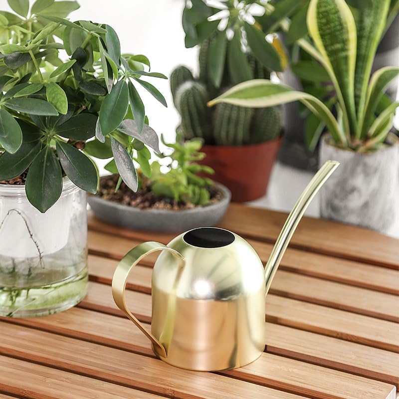 Gold Watering Can for Indoor Plants, 450ml/15oz Metal - Image 5