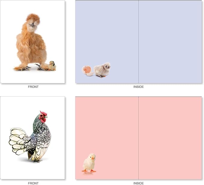 The Best Card Company - 20 Blank Birds Notes with Envelopes - All Occasion Chicken Assortment (10 Designs, 2 Each) - Exotic Roosters AM7059OCB-B2x10