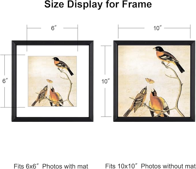 10x10 Picture Frame, Black Metal Square Photo Frames with HD Glass, Fits 6x6 with Mat or 10 x 10 without Mat, Display for Wall and Table, 1 Pack
