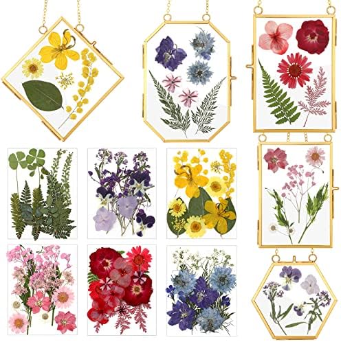 Bucherry 5 Pcs Glass Frame for DIY Pressed Flowers Art Brass Hanging Photo Picture Frame with Chain and 6 Styles Pressed Flowers Collage Glass Craft Frames for Wall Decor Display Gallery (Gold) by Bucherry