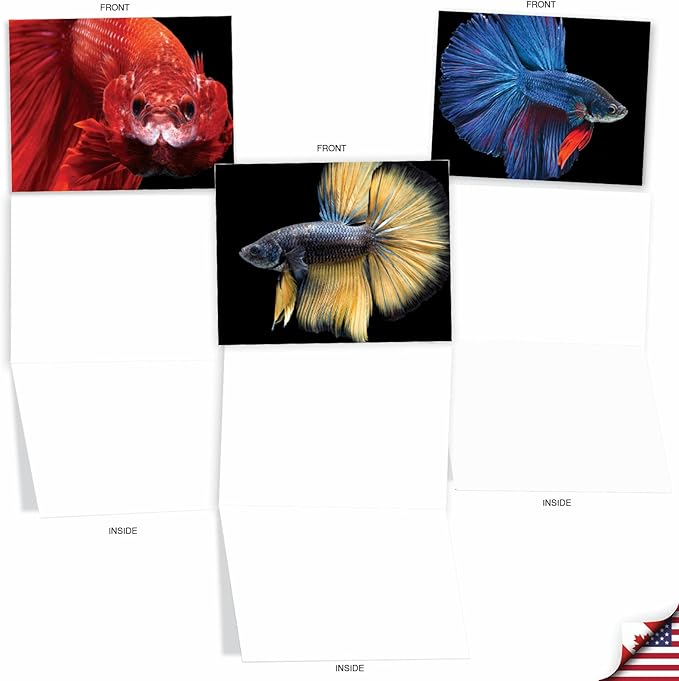 The Best Card Company - 10 All Occasion Blank Cards for Men and Women (4 x 5.12 Inch) - Nautical, Ocean, Sea Life Assortment of Notecards - Fancy Fins M1630BN