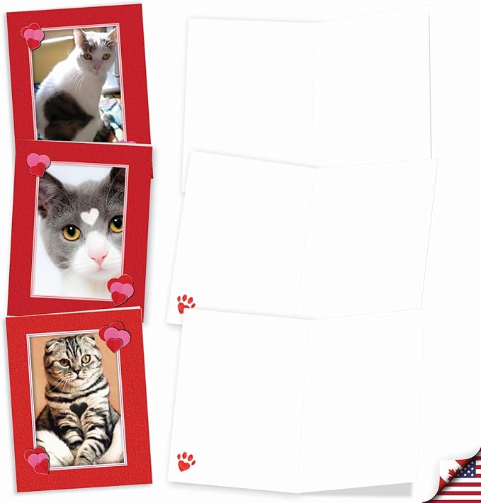 The Best Card Company - 10 All Occasion Blank Cat Cards (4 x 5.12 Inch) - Cute Assorted Bulk Card Set - Heartfelt Cats M5658OCB-B1x10