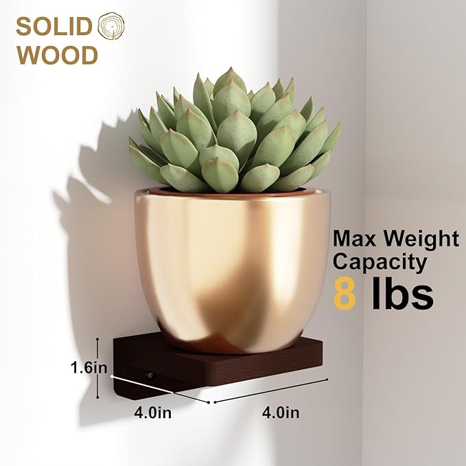 SRIWATANA Small Floating Shelves Wall Mounted, Wood Shelf for Decoration and Storage Set of 4, Mini Display Shelf for Bedroom, Bathroom, Kitchen, Office (Walnut, 4 inch)