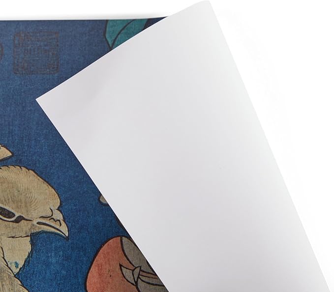 Katsushika Hokusai Posters (33 cm x 48.3 cm 20 Pack)