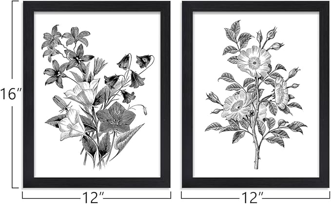 JOWOROLO Framed Vintage Botanical Prints, Black and White floral Canvas Wall Art, Farmhouse Decor Pictures for Living Room, Aesthetic Poster for Bedroom, Set of 2 Rustic Artwork, Boho Decor 12"x16"