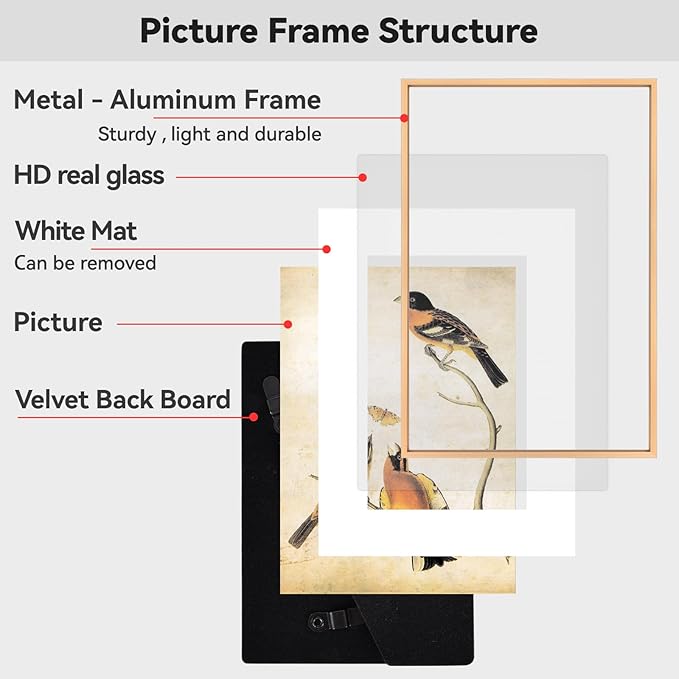 10x14 Picture Frame, Gold Aluminum Metal Photo Frames with HD Glass, Fits 8x10 with Mat or 10 x 14 without Mat, Display for Wall