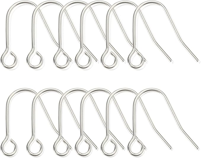 12pcs 20G Small Pure Titanium Earring Fish Hooks DIY Earrings Findings for Jewelry Making, Hypoallergenic Earring Hooks Making Kit for Women Men Sensitive Ears