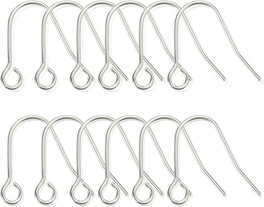 12pcs 20G Small Pure Titanium Earring Fish Hooks DIY Earrings Findings for Jewelry Making, Hypoallergenic Earring Hooks Making Kit for Women Men Sensitive Ears