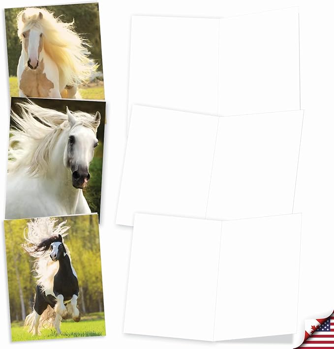 The Best Card Company - 20 Blank Note Cards with Envelopes (4 x 5.12 Inch) - All Occasion Animal Card Assortment (10 Designs, 2 Each) - Horses | Magnificent Manes AM4601OCB-B2x10