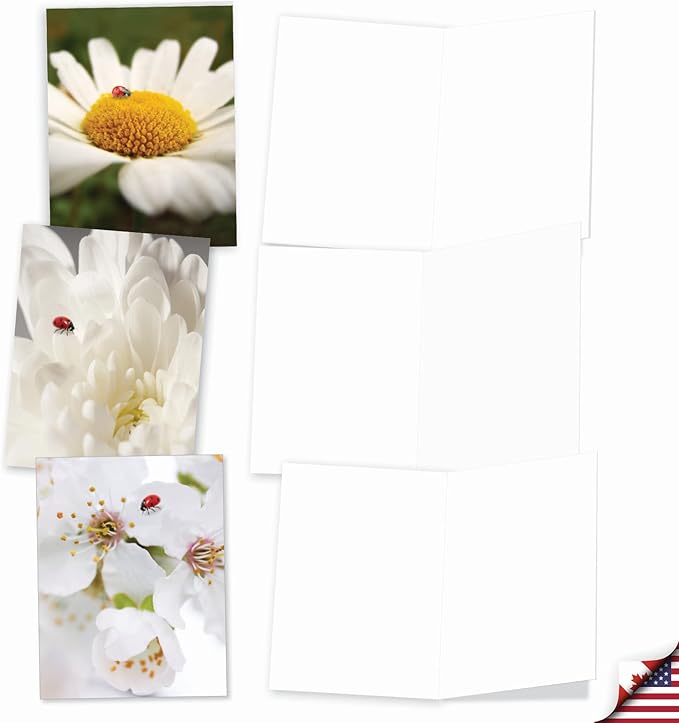 The Best Card Company - 10 Blank Note Cards for Men and Women (4 x 5.12 Inch) - Fun Pets, Zoo, Wildlife Cards, Assorted Greetings Boxed - My Fair Ladybug AM6332OCB-B1x10
