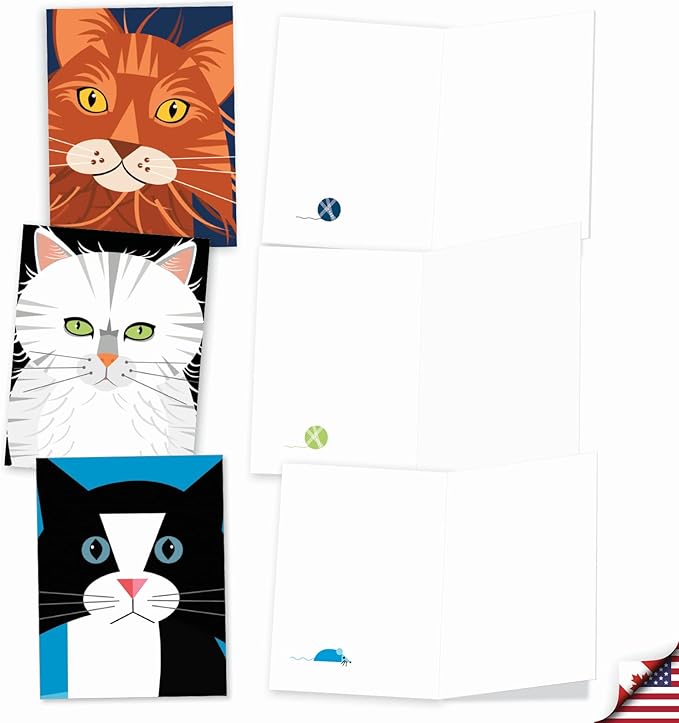 The Best Card Company - 10 Adorable Blank Cat Cards (4 x 5.12 Inch) - Cute Pet Kittens, Assorted Bulk Notecard Set - Cubic Cats M6730OCB