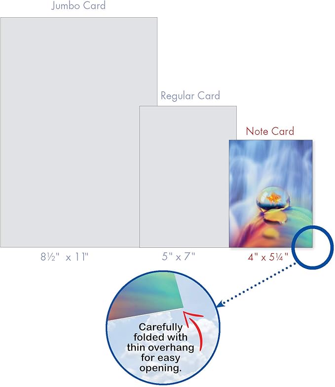 The Best Card Company - 10 Blank Note Cards (4 x 5.12 Inch) - Fun Pets, Zoo, Wildlife Cards, Assorted Greetings Boxed - Waterdrop Beauty AM6111OCB-B1x10