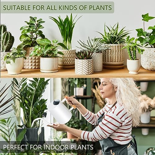 Watering Can Indoor Plants, 35oz Small Stainless Steel Metal Watering Can Modern Decorative Watering Pot with Long Spout for Indoor House Plant Bonsai Outdoor Garden Flowers -White - Image 3