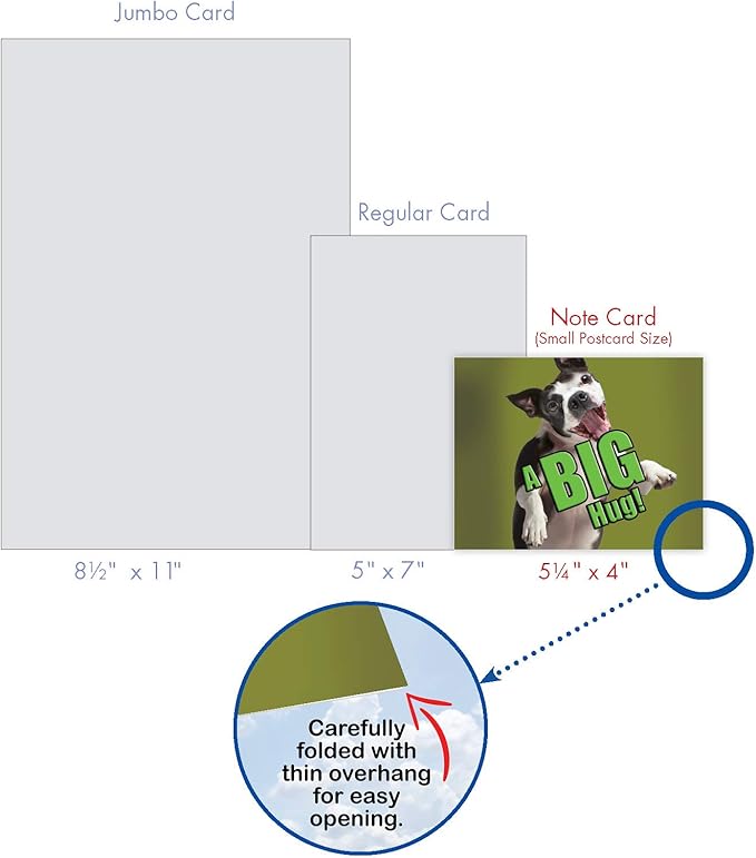 The Best Card Company - 10 Blank Dog Greeting Cards All Occasions for Men and Women (4 x 5.12 Inch) - Dog A Big Hug M6615OCB