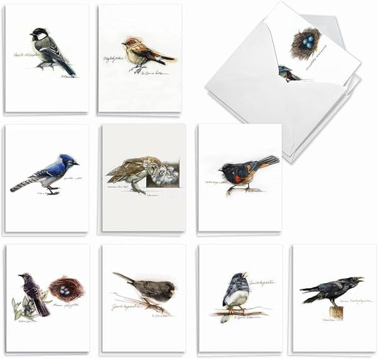 The Best Card Company - 20 Blank Bird Notes with Envelopes - All Occasion Wildlife Nature Animal Card Assortment (10 Designs, 2 Each) - Birds Watching AM3199OCB-B2x10