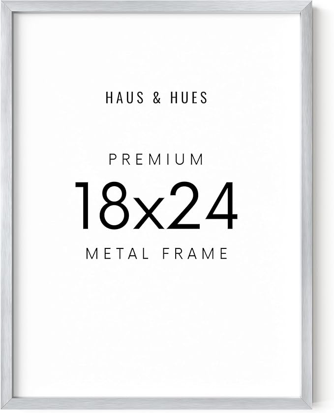 HAUS AND HUES 18x24 Silver Picture Frame - Modern Aluminum Wall Display - Shatterproof Plexiglass, Vertical & Horizontal Hanging (18x24 in, Silver)
