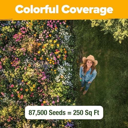 HOME GROWN Texas Wildflower Mix 87,500+ Flower Seeds 2 oz - Image 5