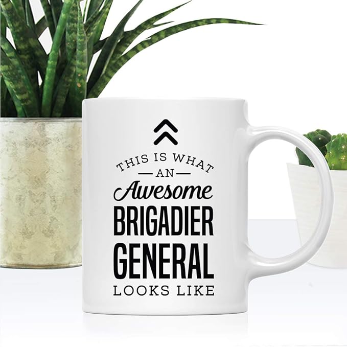 Andaz Press 11oz. Ceramic Coffee Tea Mug Thank You Gift, This is What an Awesome Brigadier General Looks Like, 1-Pack, Birthday Christmas Gift Ideas Coworker Him Her, Includes Gift Box
