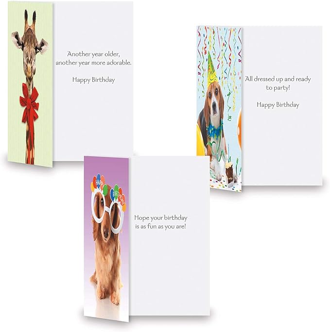 Current Kids Animal Photo Happy Birthday Greeting Card Set - Value Pack of 20 Cards for Kids With White Envelopes, 10 Designs, Large 5" x 7" Assortment