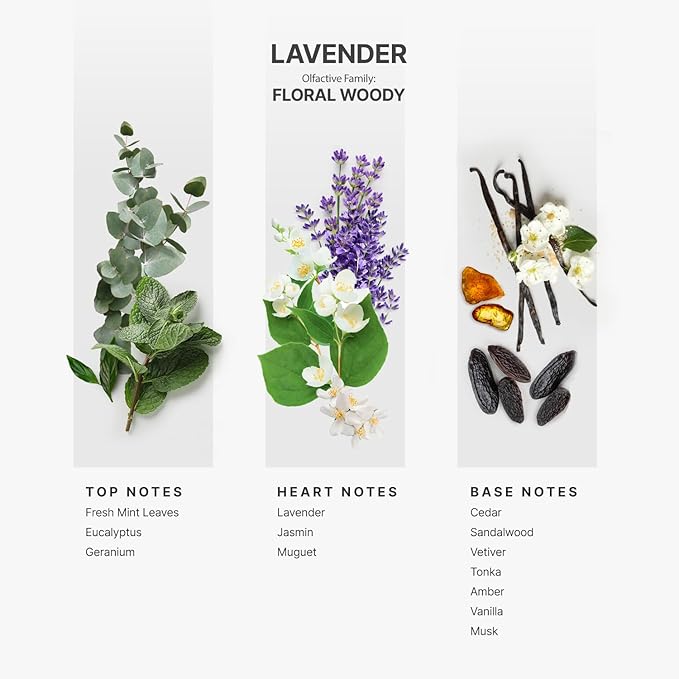 AromaPlan Hotel Scents Lavender 16 Fl Oz (473ml), Home Luxury Aroma & Diffuser Oil for Aromatherapy - USA Made, Bigger Bottle, Bolder Aroma & Longer Lasting
