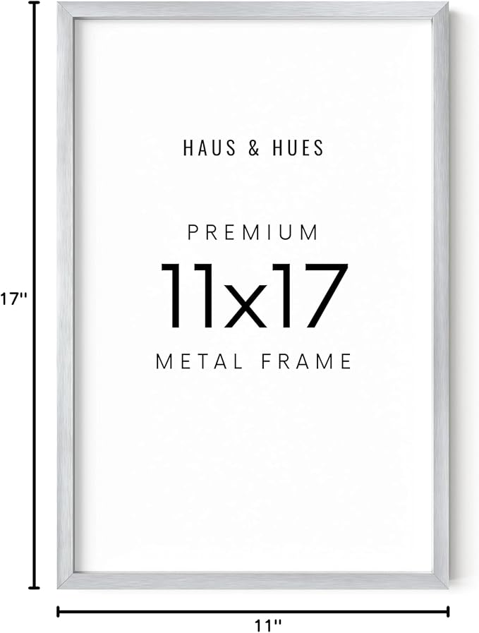 HAUS AND HUES Standalone Silver Aluminum Frame Set of 1-11x17
