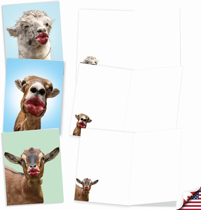 The Best Card Company Assorted Blank Greeting Card Box Set - Incl. 20 Cards + Envelopes - 10 Unique Designs - Ideal for Thank Yous, Invitations, More - Wild Kisses AM9280OCB-B2x10-NB