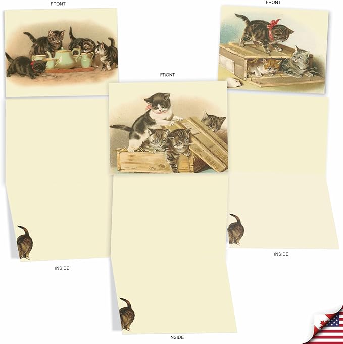 The Best Card Company - 10 Adorable Blank Cat Cards (4 x 5.12 Inch) - Cute Pet Kittens, Assorted Bulk Notecard Set - Cutey Cats M1732BN