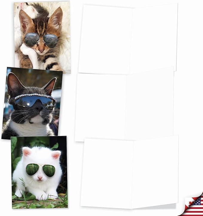 The Best Card Company - 10 Adorable Blank Cat Cards (4 x 5.12 Inch) - Cute Pet Kittens, Assorted Bulk Notecard Set - Kool Kitties AM6891OCB-B1x10