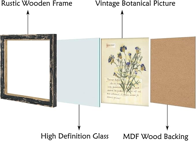 NIKKY HOME Botanical Wall Art Set of 2, Vintage Botanical Prints Wooden Framed Floral Plant Pictures Poster Decor for Bathroom Bedroom Living Room Office, 10x10 Inch