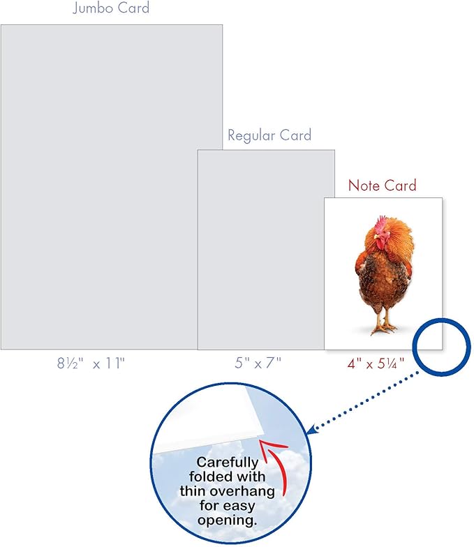 The Best Card Company - 20 Blank Birds Notes with Envelopes - All Occasion Chicken Assortment (10 Designs, 2 Each) - Exotic Roosters AM7059OCB-B2x10