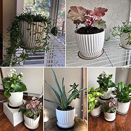 D'vine Dev 2-Pack Stoneware Planter Pots, 4.5/5.8 in, Ivory, 99-D-1 - Image 7
