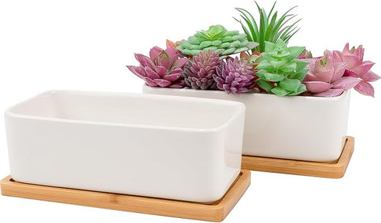 2 PCS Succulent Pot Cactus Containers White Ceramic Planter with Drainage Hole and Removable Tray Small Plant Pots for Home Office Decor Bonsai Container for Indoor Outdoor Plants (Rectangle)