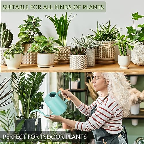 Watering Can Indoor Plants, 35oz Small Indoor Stainless Steel Metal Watering Can Modern Decorative Watering Pot with Long Spout for Indoor House Plant Bonsai Outdoor Garden Flowers Green - Image 4