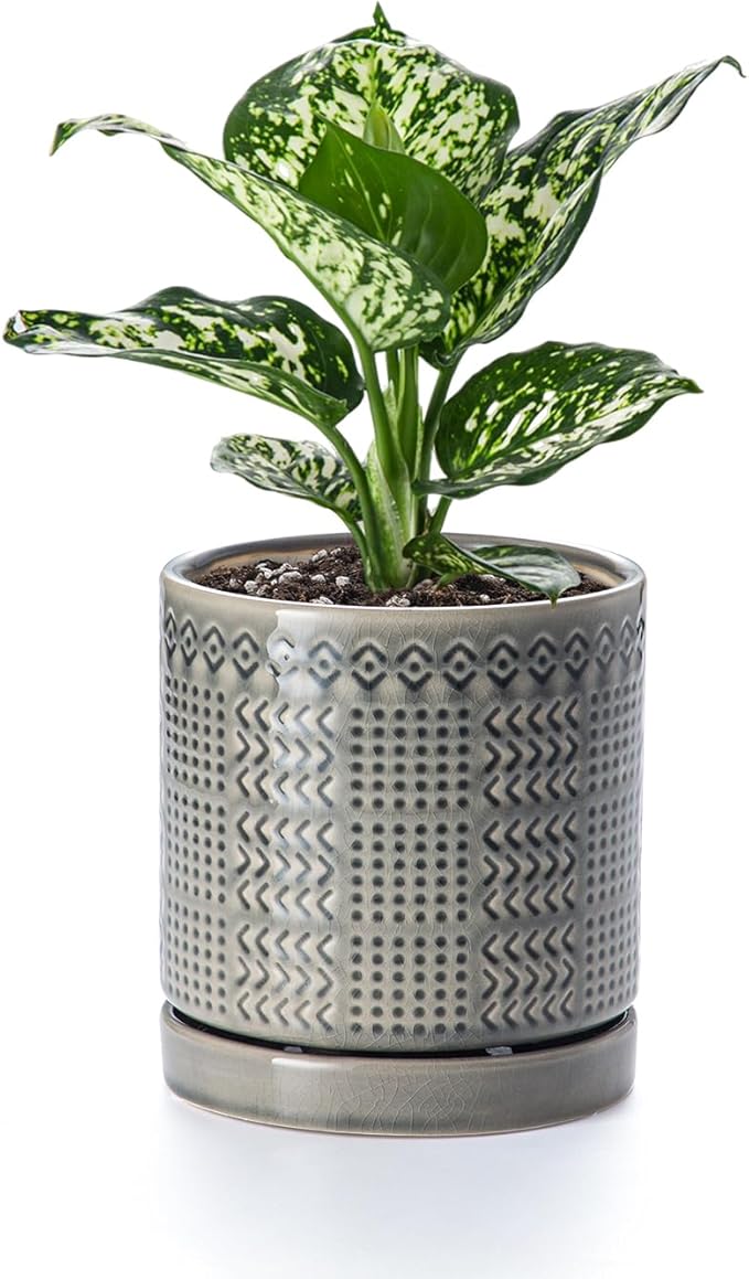 Indoor-Outdoor Ceramic Plant Pots: 6 Inch Flower Pots with Drainage Hole & Saucer - Decorative Ceramic Pots for Plants Herbs Succulents - Home Garden Patio Lawn Use (Grey)