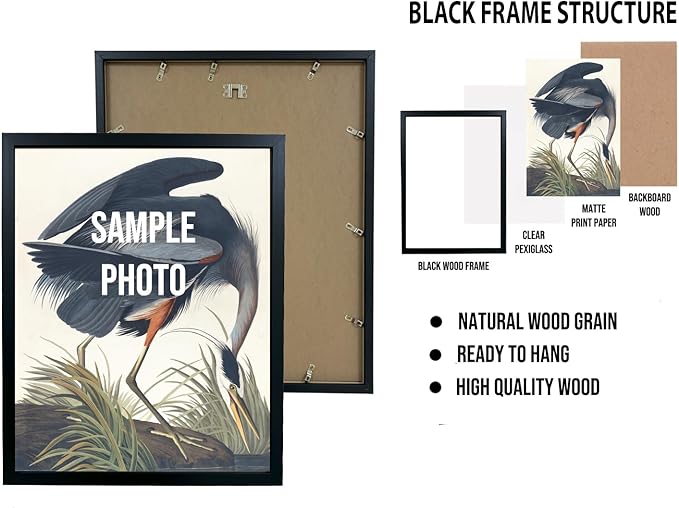 Tuxedo Cat Art Poster Print, Kitten Painting Humor Portrait Pet Artwork Decor Gallery A8 (Tuxedo Cat, 11 x 14 inches, Black Frame)