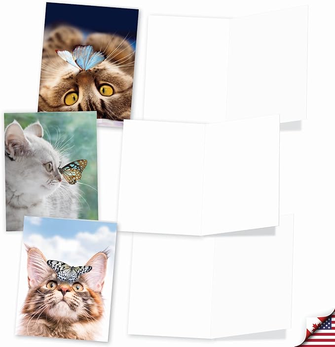 The Best Card Company - 10 All Occasion Blank Cat Cards (4 x 5.12 Inch) - Cute Assorted Bulk Card Set - On The Nose M4947OCB-B1x10