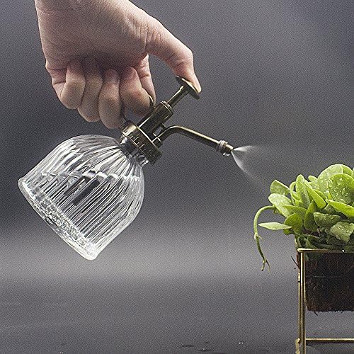 Glass Plant Mister Water Spray Bottle, 200 ML Glass Plant Spritzer Mister Bottle, Vintage Style Glass Succulent Watering Bottle with Top Pump, Plant Sprayer Mister for Indoor Plants - Clear - Image 5