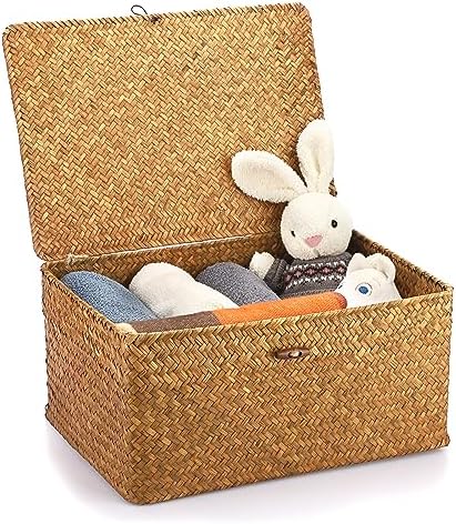 Hipiwe Wicker Shelf Baskets Bin with Lid Handwoven Storage Basket, X-Large by Hipiwe