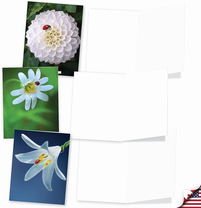 The Best Card Company - 10 Blank Note Cards for Men and Women (4 x 5.12 Inch) - Fun Pets, Zoo, Wildlife Cards, Assorted Greetings Boxed - My Fair Ladybug AM6332OCB-B1x10