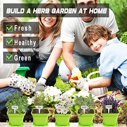 Meekear 10 Herb Seeds Garden Starter Grow Kit with Green Pots, Markers, Soil Discs, Watering, Herb Clipper, Complete Indoor Potted Plant Growing Set for Kitchen DIY - Image 4
