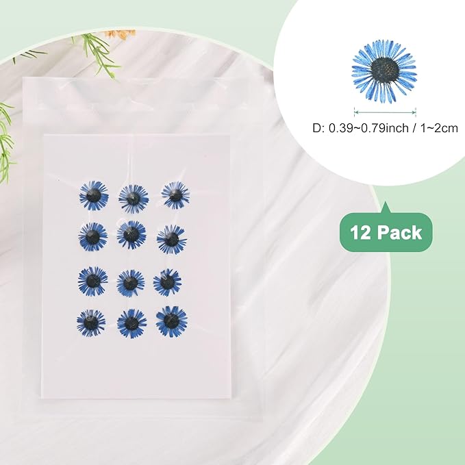 12-Pack Dried Pressed Flowers for Resin, Real Natural Bulk Dry Floral for Crafts/DIY Jewelry/Soap Making/Scrapbooking/Candle/Epoxy Resin Supplies/Photo Frames [Blue]