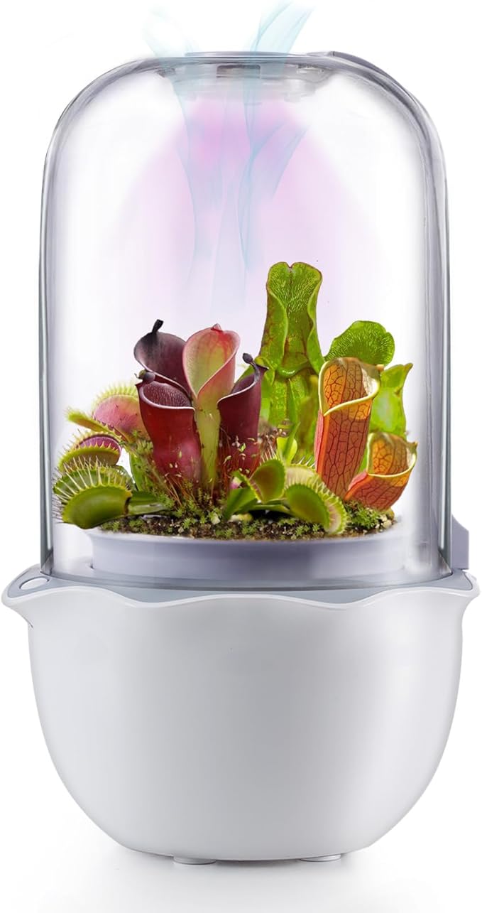 Venus Fly Trap Terrarium Pot with Timer Grow Light&Fan,Plant Terrarium kit for Moss&Cactus,Smart Planter for Carnivorous Plants&Butterwort,Valentine Birthday Gifts for Women Garden Lover(no Plant)
