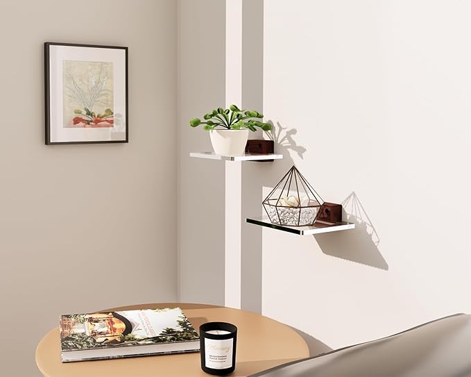 Acrylic Floating Shelves with Solid Wood Base, Wall Mounted Shelf for Plants, Perfume, Nail Polish, Bathroom, Bedroom & Living Room Decor