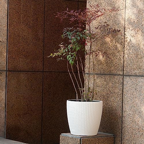Dexceder 18x17 Self Watering Planter with Wheels (Ivory White Rattan) - Image 6