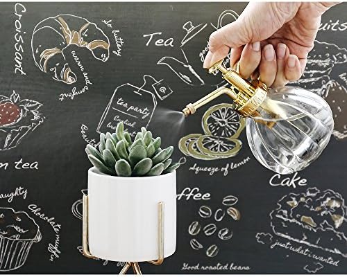 Glass Plant Mister Spray Bottle, Fine Mist for Indoor Plants 6.7oz Gold - Image 3