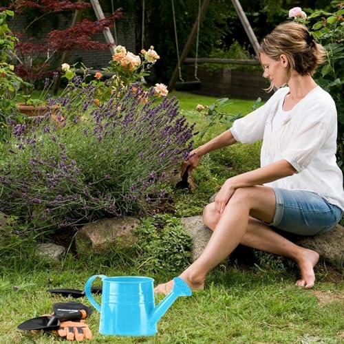 Watering Can Gardening Tool Accessories, Sprinkling Can 1L Metal Flower Garden Watering Can for Outdoor Indoor Plants Lawn Garden (Blue) - Image 3