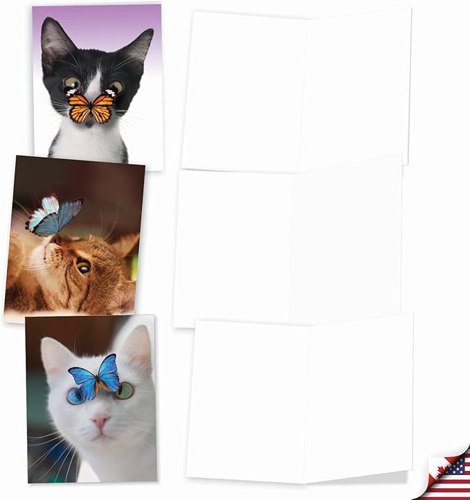 The Best Card Company - 10 All Occasion Blank Cat Cards (4 x 5.12 Inch) - Cute Assorted Bulk Card Set - On The Nose M4947OCB-B1x10