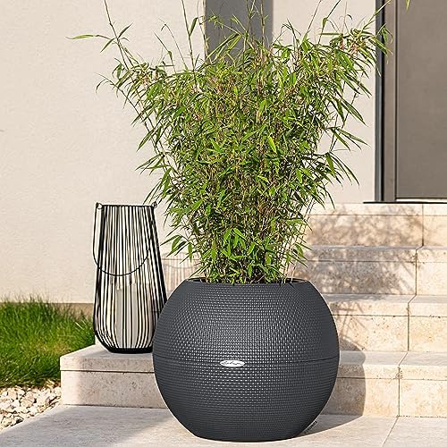 Lechuza Puro Color 50 Slate, Self-Watering Large Round Planter, D19.7 H15.4 in - Image 6